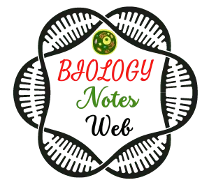 https://biologynotesweb.com/wp-content/uploads/2022/11/Biology-Notes-web.webp