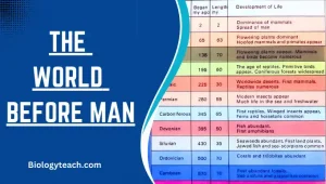 The world before man