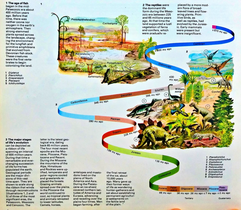 The world before man