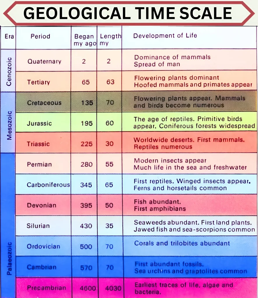 geological time scale