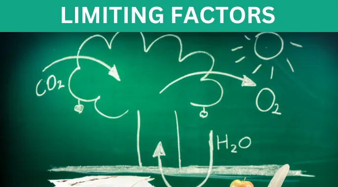 Limiting Factor