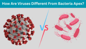 How AreHow Are Viruses Different From Bacteria Apex Viruses Different From Bacteria Apex