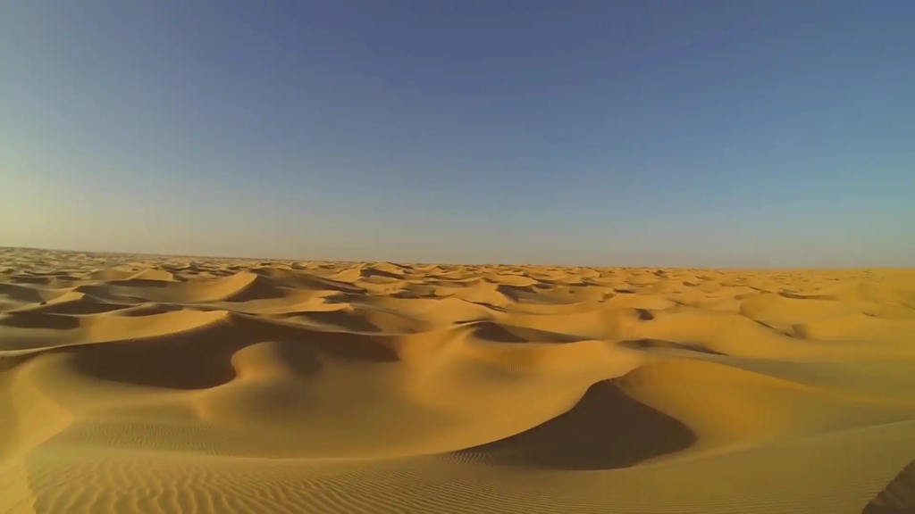 9 Abiotic Factors of the Sahara Desert