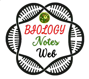 Biology Notes Web